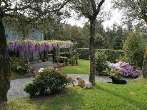 einen Garten mit zwei Hunden und zwei Katzen im Gras in der Unterkunft Casas da Tapada Briteiros Casa Do Espigueiro in Guimarães