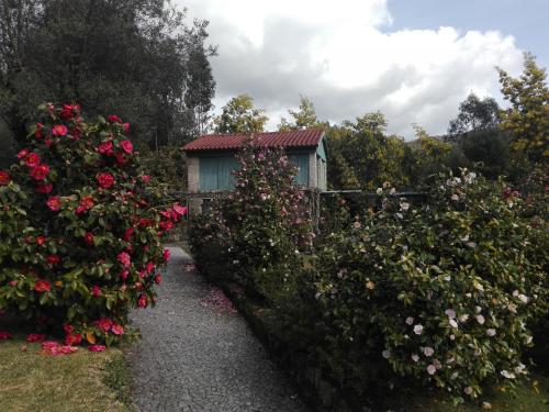 un jardín con rosas frente a una casa en Casas da Tapada Briteiros Casa Do Espigueiro, en Guimarães