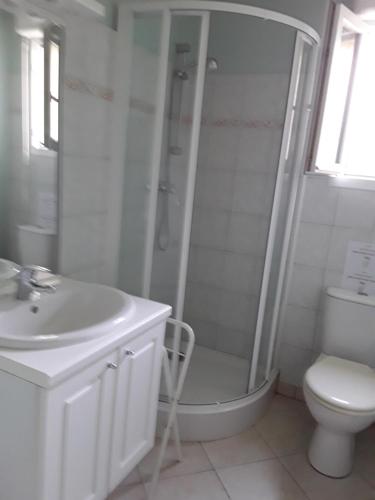 La salle de bains est pourvue d'une douche, de toilettes et d'un lavabo. dans l'établissement Maison( Clesanie ), 