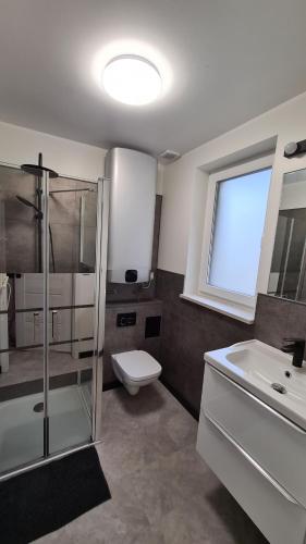 La salle de bains est pourvue de toilettes, d'une douche et d'un lavabo. dans l'établissement Przystań pod Witoszą, à Staniszów