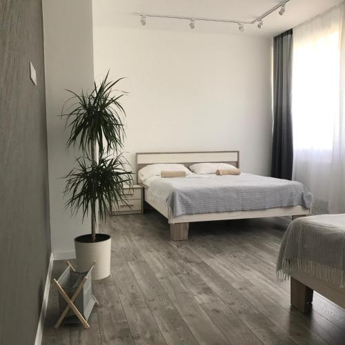 1 dormitorio con 1 cama y 2 macetas en Затишні та просторі апартаменти в новобудові en Ternopilʼ