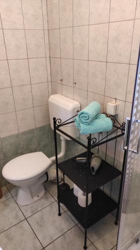 a bathroom with a toilet and a shelf with towels at Apartmani Maslina Žuljana in Žuljana