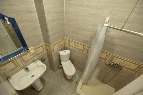 a small bathroom with a toilet and a sink at Tamari in Kvariati