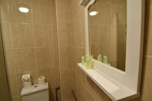 a bathroom with a toilet and a sink and a mirror at Cosy 1 Bed Studio in King's Cross in London