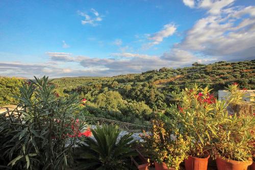 a view of a hill with trees and plants at Cretan Traditional Home in Tílisos
