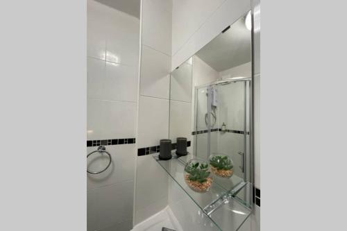 a bathroom with a glass shower with two potted plants at Spacious, Bright Twin Studio Apartment (can sleep up to 4) in London