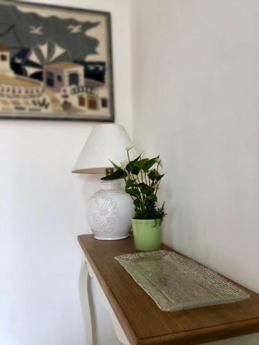 a table with a lamp and a plant on it at Villa le Bougainvillea in La Maddalena