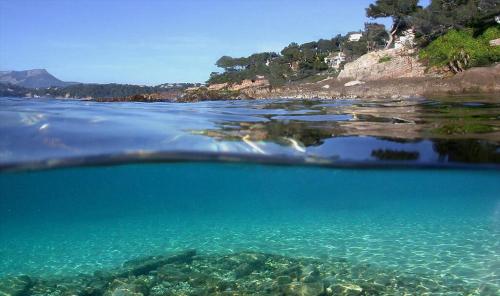 a view of the ocean from under the water at Les Pieds dans l'Eau in Nice