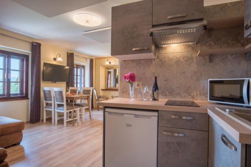 a kitchen with a sink and a counter top at Vila Radolca apartments and rooms in Radovljica