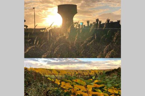 two pictures of a train in a field with the sunset at Out & LODGE Prunelliers in Couvin