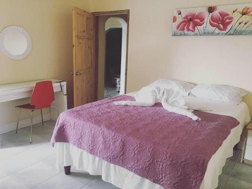a bedroom with a bed with a purple blanket at Arms of Charms Guesthouse in Sandy Bay