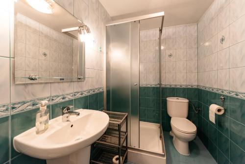 a bathroom with a sink and a toilet and a shower at Abramówka - dom z jacuzzi in Polańczyk