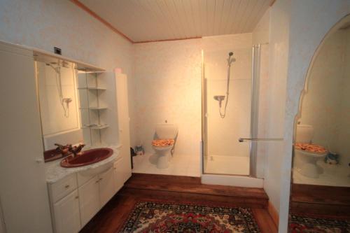 une salle de bain avec une douche, un lavabo et des toilettes dans l'établissement Vakantiehuis 10 personnes, à Queyssac