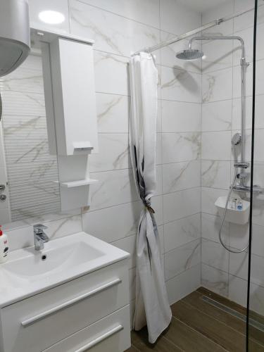 Vonios kambarys apgyvendinimo įstaigoje Guest House Goa Mostar