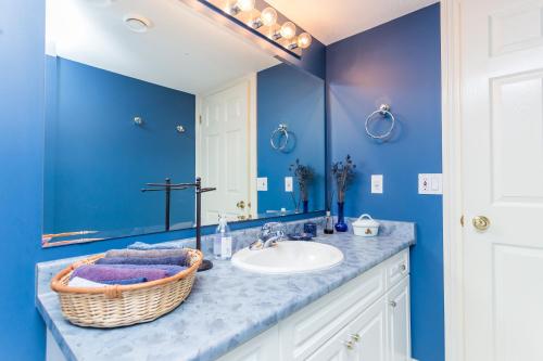 W łazience znajduje się umywalka i lustro. w obiekcie Overlander B&B w mieście Kamloops