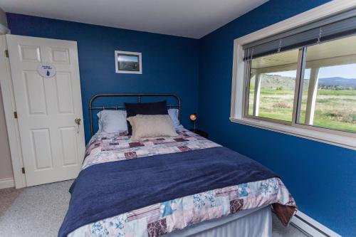 a blue bedroom with a bed and a window at Overlander B&B in Kamloops