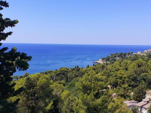 - une vue sur l'océan depuis une colline arborée dans l'établissement Beqa Apartments, à Ulcinj