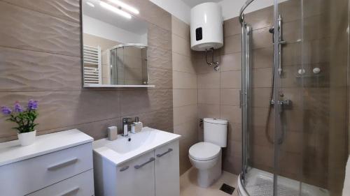 łazienka z prysznicem, toaletą i umywalką w obiekcie Apartman Ela w mieście Donji Rukavac