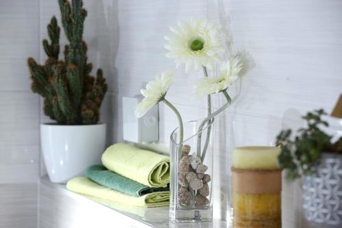 Apartmani Toni