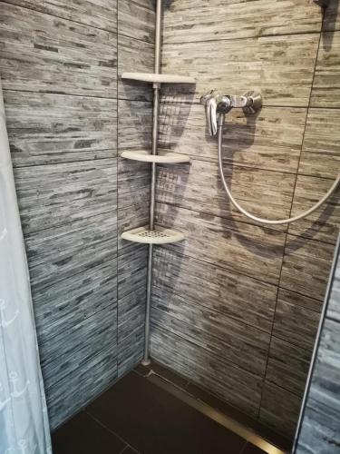 a shower with two shelves in a bathroom at Olive in Uhldingen-Mühlhofen