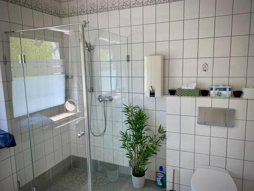 a bathroom with a shower with a toilet and a plant at Ferienhaus Steins in Sinspelt