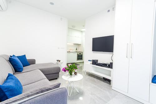 Televisyen dan/atau pusat hiburan di Miramare Apartments Pržno
