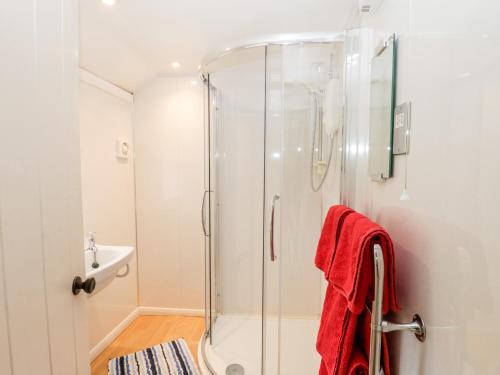 a bathroom with a shower and a sink at Primrose Hill Farmhouse in Hutton le Hole