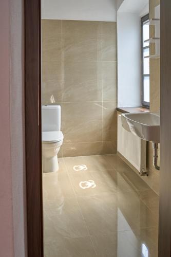 a bathroom with a toilet and a sink at Vila Lovců králových in Český Krumlov