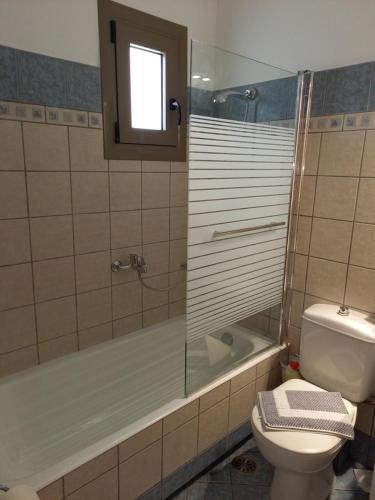 a bathroom with a shower and a toilet and a sink at To Pithari in Skiros