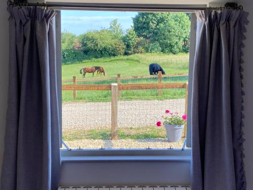 a window with horses in a field behind a fence at Glebe Barn, Little Glebe Farm in Cheltenham