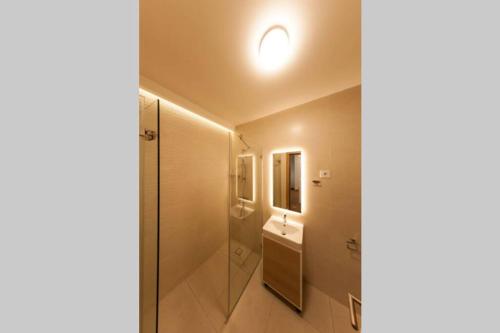 a bathroom with a shower and a sink and a toilet at Diagonala 2 in Novi Sad