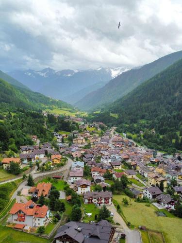 an aerial view of a town in the mountains at Casa Bamby in Cogolo