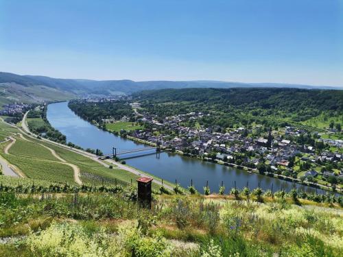 arial view of a river with a city at Sonnenufer Apartment & Moselwein I in Bernkastel-Kues