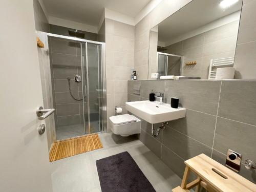 ein Bad mit einer Dusche, einem WC und einem Waschbecken in der Unterkunft Apartmán Dolce Vita Harrachov 1.8 in Harrachov