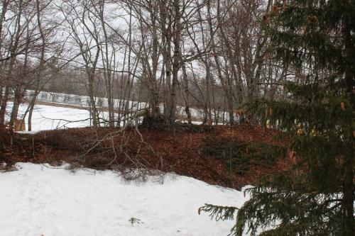 a snow covered yard with trees and a field at Fiocco di neve, residence Magnola in Ovindoli