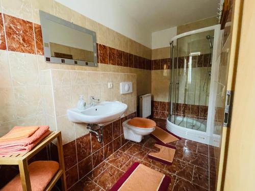 ein Bad mit einem Waschbecken, einem WC und einer Dusche in der Unterkunft Kleine FeWo in Heringsdorf auf der Insel Usedom in Heringsdorf