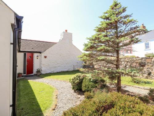 a house with a pine tree in front of it at Bwthyn Alarch in Haverfordwest