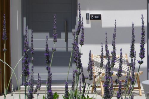 a bunch of purple flowers in front of a door at Oro Suites in Kinion