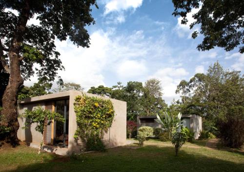 a house in a garden with a tree at Kaliwa Lodge in Moshi