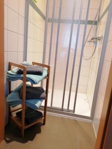 a towel rack in a bathroom with a shower at Ferienwohnung Karoline Eisenach in Eisenach