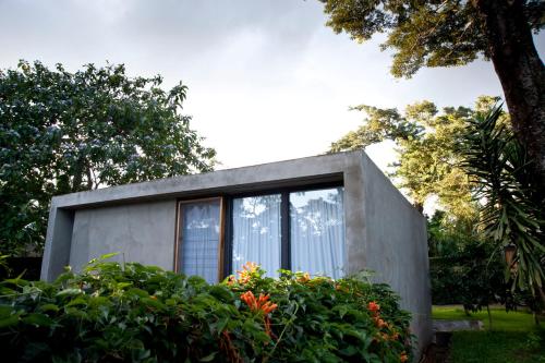 a concrete house with large windows and plants at Kaliwa Lodge in Moshi