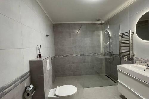 a bathroom with a shower and a toilet and a sink at Vaivutės apartamentai No1 in Darbėnai