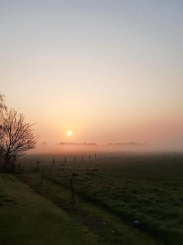 a foggy field with the sun rising in the horizon at De Sarrieshut in Houwerzijl
