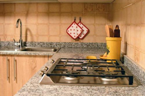 um balcão de cozinha com um fogão e um lavatório em Cal Gerani em Rabós