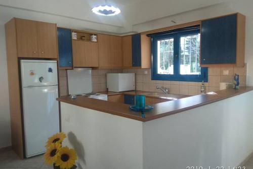 a kitchen with a counter and a refrigerator at Blue Velvet apartment in Paránimfoi