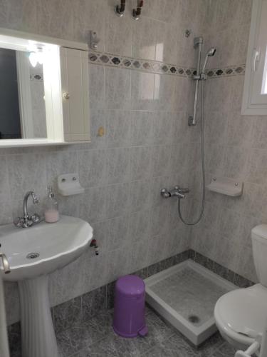 a bathroom with a sink and a toilet and a shower at Vokamvilia Apartments in Kini