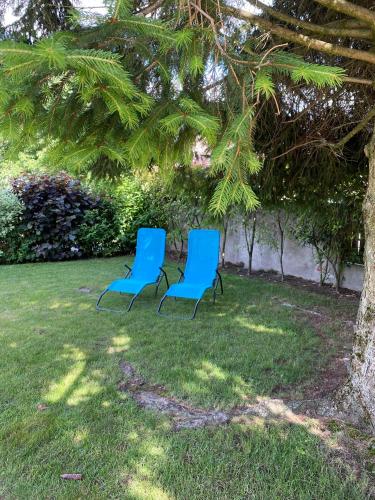 two blue chairs sitting in the grass under a tree at Casa ViniToscani in Perroy