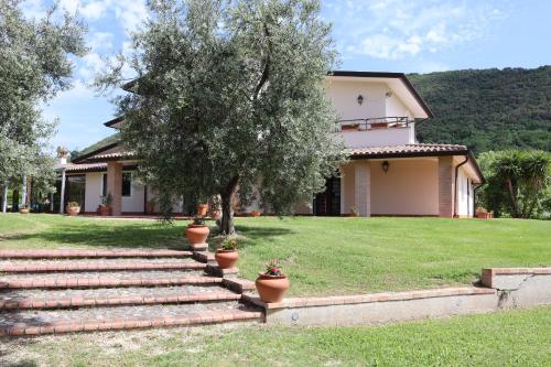 a house with a tree and stairs in front of it at Agriturismo Il Bagolaro in Nerola