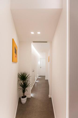 Morpheus Rooms