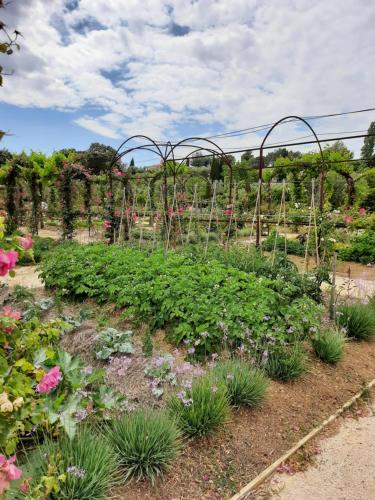 a garden with flowers and plants at La Bastide des Saveurs in La Cadiere d'Azur